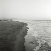 CineStill BwXX 135/36