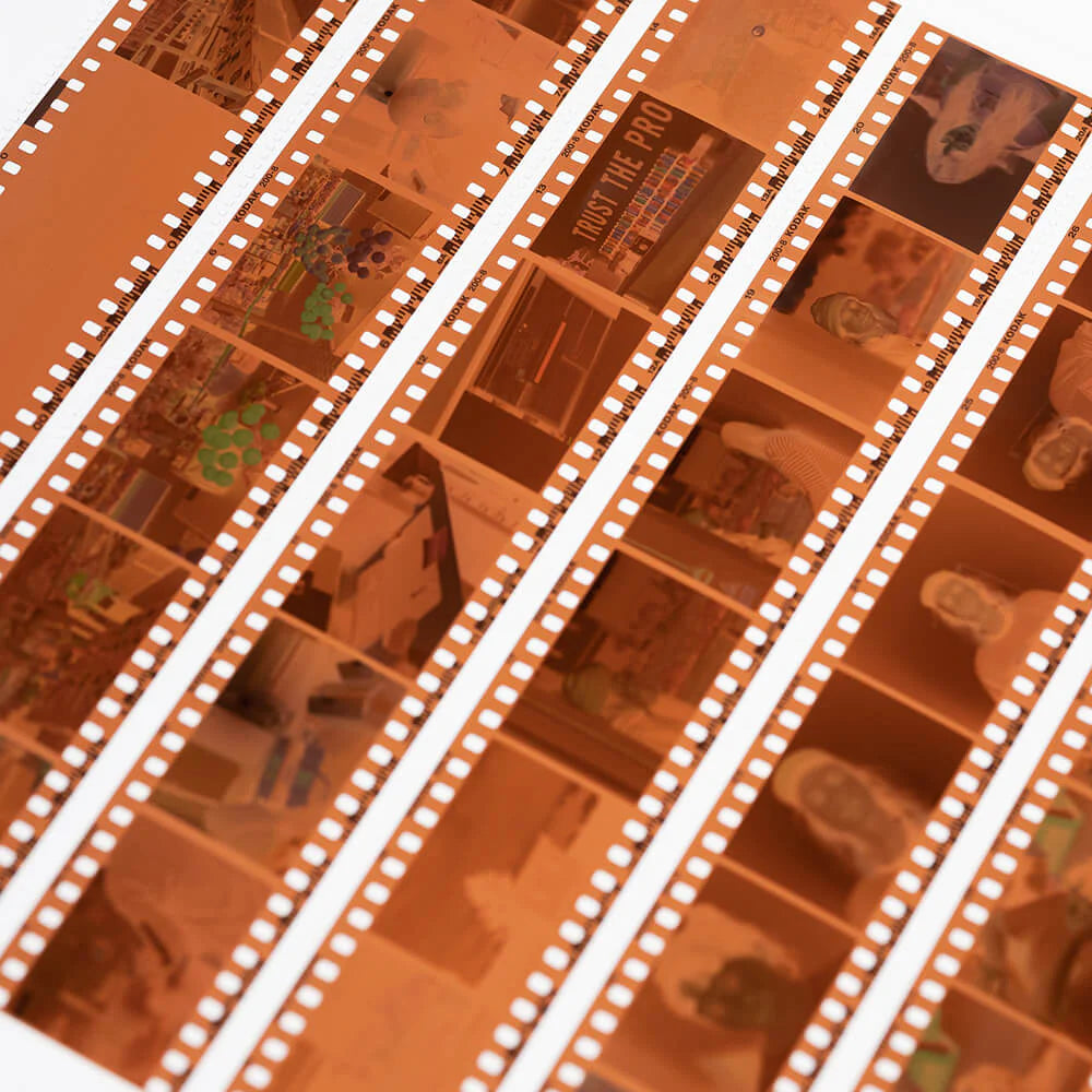 Color Film Developing Learning corner – Vintage Visual