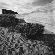 OptiMono 100 35mm