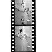 ADOX Scala 50 BW 135/36