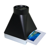 AP Slide Viewer