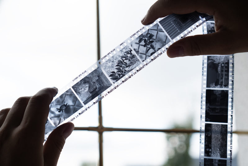 Tiras de negativos en blanco y negro revelados, sostenidas frente a una ventana